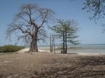 Photos de l'archipel des Bijagos en Guine Bissau : Paysages des Bijagos