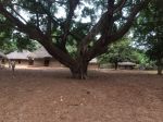 Photos of Bijagos Islands in Guinea Bissau : 