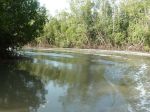 Photos de l'archipel des Bijagos en Guine Bissau : Ballade en bolon