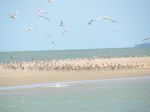 Photos of Bijagos Islands in Guinea Bissau : 