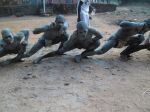 Photos de l'archipel des Bijagos en Guine Bissau : Carnaval de Bubaque