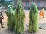 Photos de l'archipel des Bijagos en Guine Bissau : Carnaval de Bubaque