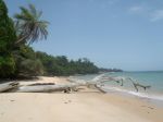 Photos of Bijagos Islands in Guinea Bissau : 