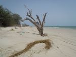 Photos de l'archipel des Bijagos en Guine Bissau : Paysages des les