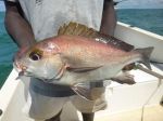 Photos of Bijagos Islands in Guinea Bissau : 