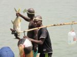 Photos de l'archipel des Bijagos en Guine Bissau : Jeunes en crmonie