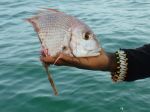 Photos of Bijagos Islands in Guinea Bissau : 