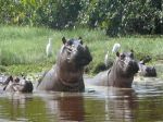 Photos de l'archipel des Bijagos en Guine Bissau : y'a un blme ?