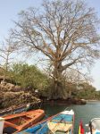 Photos of Bijagos Islands in Guinea Bissau : 