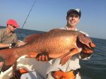 Photos de l'archipel des Bijagos en Guine Bissau : Belle rouge