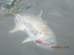 Photos of Bijagos Islands in Guinea Bissau : 