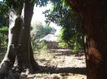 Photos de l'archipel des Bijagos en Guine Bissau : Vie tranquille