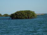 Photos of Bijagos Islands in Guinea Bissau : 