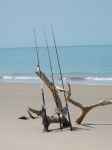 Photos de l'archipel des Bijagos en Guine Bissau : Ratelier tendance