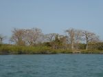 Photos of Bijagos Islands in Guinea Bissau : 