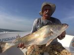 Photos de l'archipel des Bijagos en Guine Bissau : Ombrine de Claude