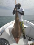 Photos of Bijagos Islands in Guinea Bissau : 