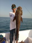 Photos de l'archipel des Bijagos en Guine Bissau : Cobia de Danys