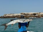 Photos de l'archipel des Bijagos en Guine Bissau : Et encore...encore !!