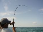 Photos of Bijagos Islands in Guinea Bissau : Action !