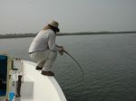 Photos of Bijagos Islands in Guinea Bissau : Action !