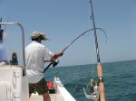 Photos of Bijagos Islands in Guinea Bissau : Action !