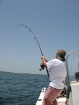 Photos of Bijagos Islands in Guinea Bissau : Action !