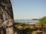 Photos of Bijagos Islands in Guinea Bissau : Our landscape