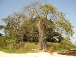 Photos of Bijagos Islands in Guinea Bissau : Our landscape