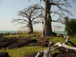 Photos de l'archipel des Bijagos en Guine Bissau : Nos paysages