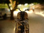 Photos of Bijagos Islands in Guinea Bissau : Alien return