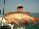 Photos de l'archipel des Bijagos en Guine Bissau : Carpe rouge