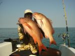 Photos de l'archipel des Bijagos en Guine Bissau : Double de carpe rouge