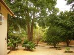 Photos of Bijagos Islands in Guinea Bissau : Cool shade