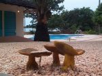 Photos de l'archipel des Bijagos en Guine Bissau : Champignons tropicaux