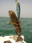 Photos of Bijagos Islands in Guinea Bissau : Biting off more than one can chew