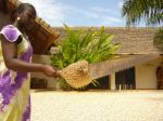 Photos of Bijagos Islands in Guinea Bissau : Sawfish...