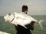 Photos de l'archipel des Bijagos en Guine Bissau : Carangue pompano