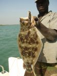 Photos of Bijagos Islands in Guinea Bissau : 