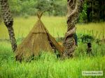 Photos of Bijagos Islands in Guinea Bissau : Andrew Scourse