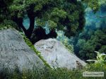 Photos de l'archipel des Bijagos en Guine Bissau : Andrew Scourse