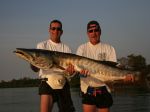 Photos de l'archipel des Bijagos en Guine Bissau : Barracuda