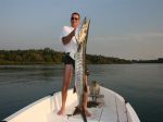 Photos de l'archipel des Bijagos en Guine Bissau : Beau barracuda