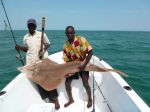 Photos de l'archipel des Bijagos en Guine Bissau : Stratocaster