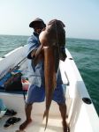 Photos de l'archipel des Bijagos en Guine Bissau : Cobia d'enfer