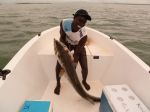 Photos de l'archipel des Bijagos en Guine Bissau : Ouf il est gros