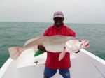 Photos de l'archipel des Bijagos en Guine Bissau : Ombrine maousse