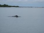 Photos de l'archipel des Bijagos en Guine Bissau : Paysages des Bijagos