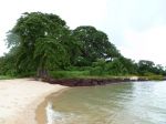 Photos of Bijagos Islands in Guinea Bissau : Bijagos's landscapes