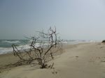 Photos of Bijagos Islands in Guinea Bissau : Bijagos's landscapes